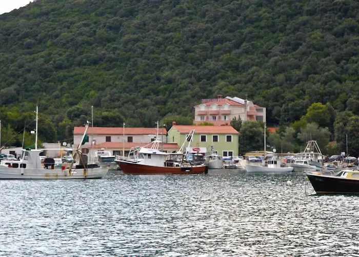 호텔 Carmen 크르니카