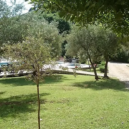 Hotel Carmen