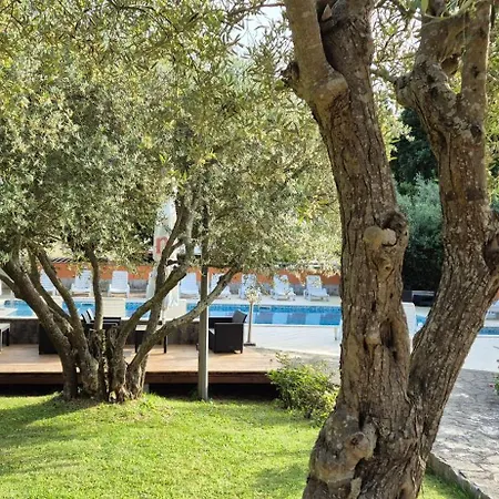 Hotell Carmen Krnica